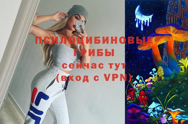 винт Баксан