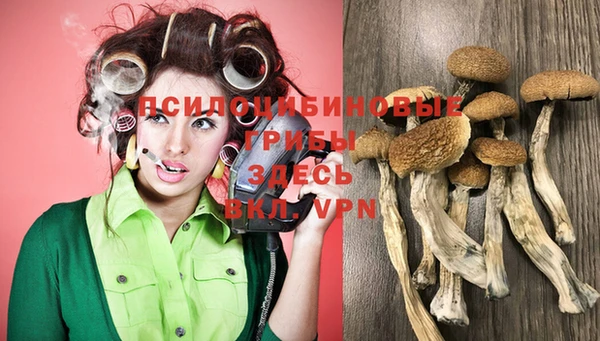 стафф Балабаново