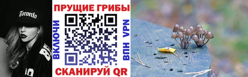 Псилоцибиновые грибы MAGIC MUSHROOMS  Курганинск 